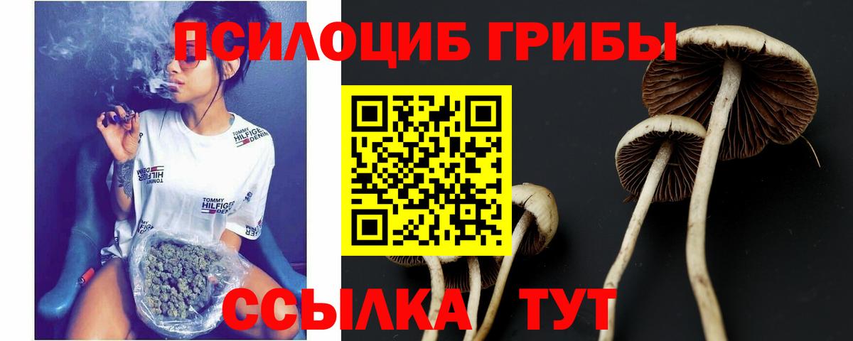 Псилоцибиновые грибы MAGIC MUSHROOMS  Вход с VPN  Семилуки 